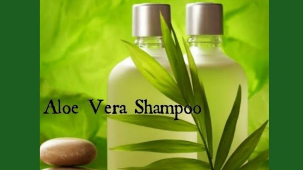 Como fazer Shampoo de Babosa caseiro: Rápido e fácil