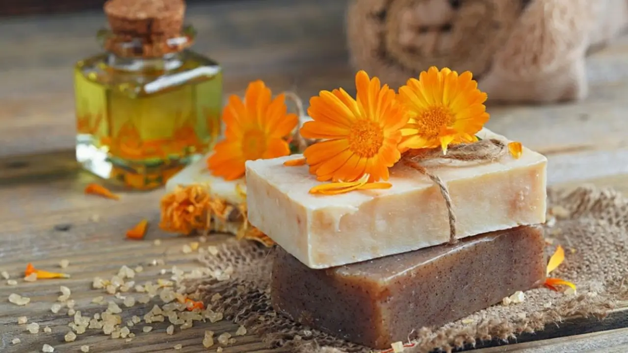 Ervas Que Prolongam o Aroma e a Vida Útil do Sabonete Artesanal 1 Ervas Que Prolongam o Aroma e a Vida Útil do Sabonete Artesanal