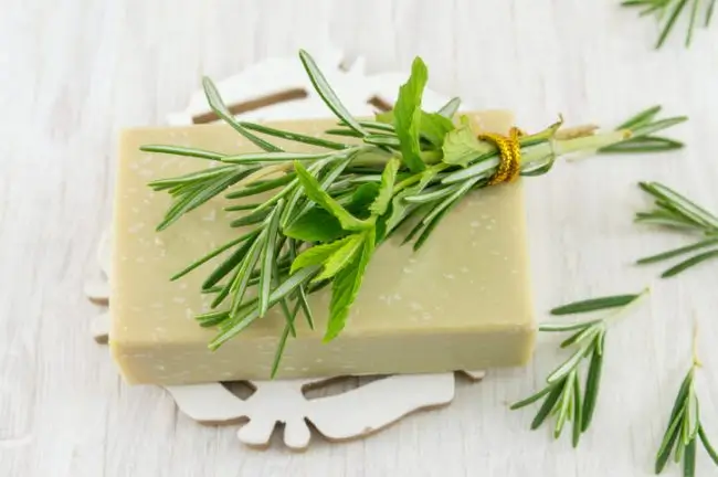 Sabonete Artesanal Antiacne: Receita Simples Com Óleo de Melaleuca