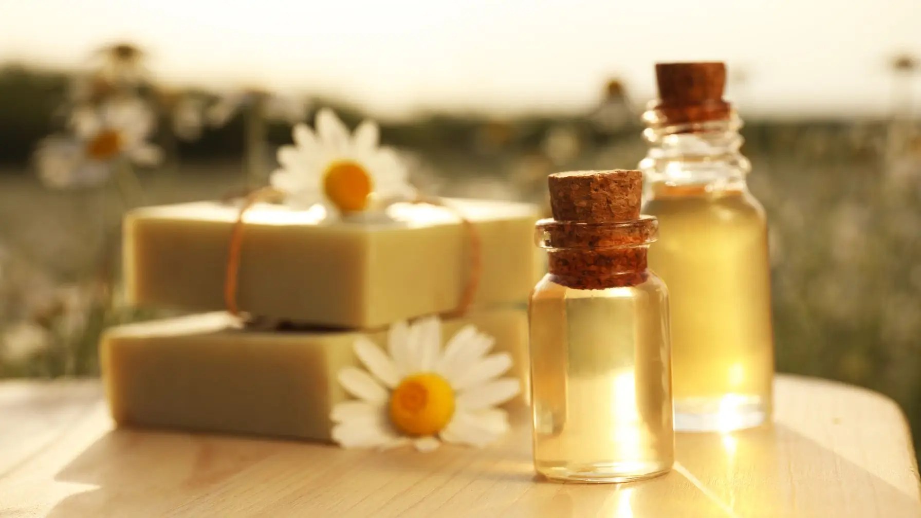 Sabonetes com Ervas e Óleos: Aromaterapia no Banho Sem Gastar Muito