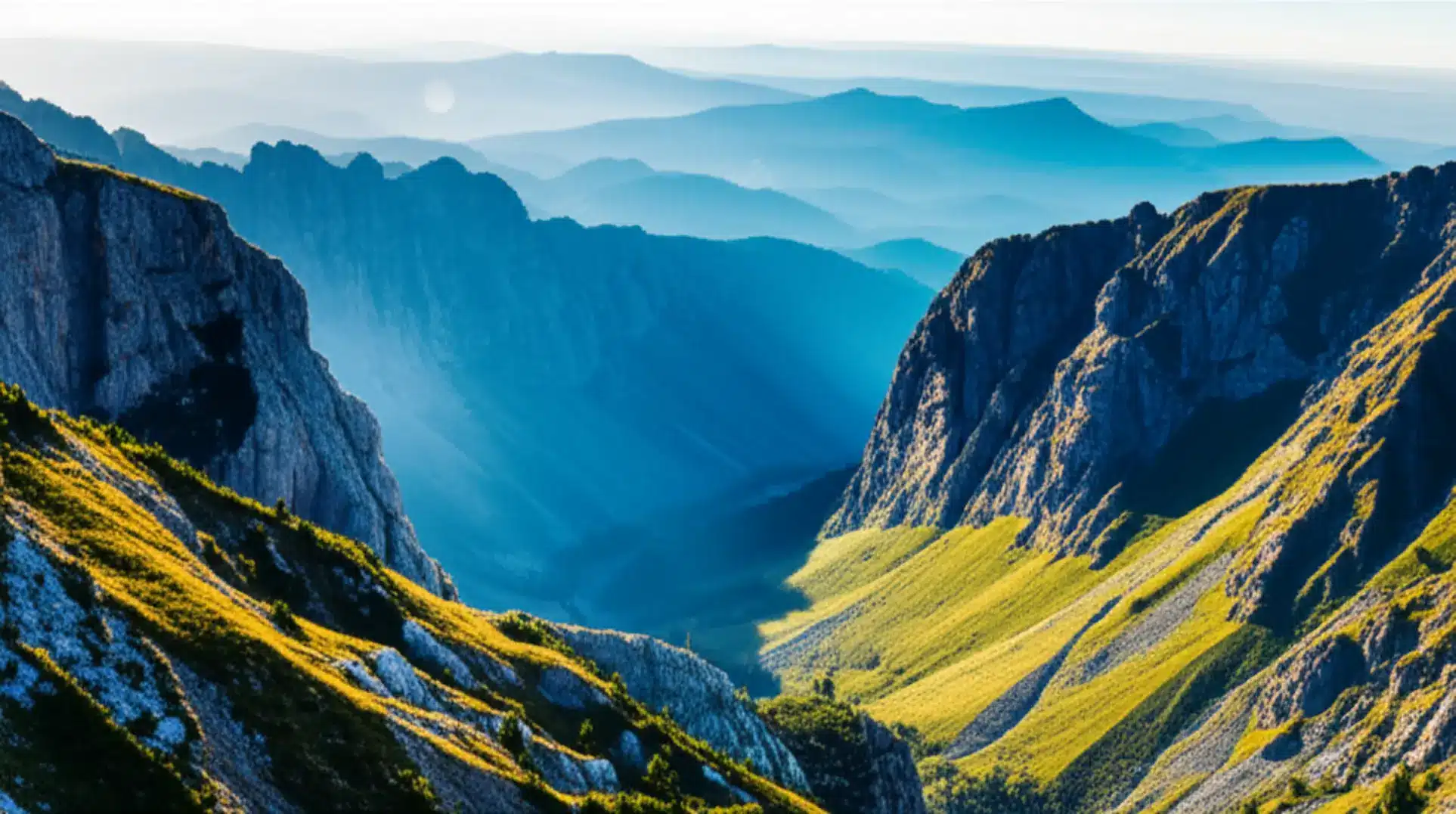 Amor-perfeito: 6 truques para florescer o ano inteiro