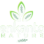 Curso Online de Sabonetes Artesanais + Apostila com Receitas