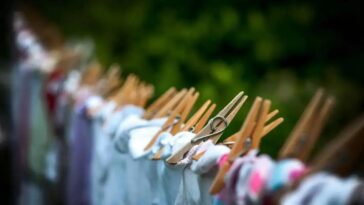 Descubra o método holandês para secar roupas sem mofo e de forma rápida