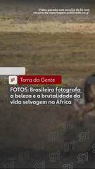 Fotógrafa Brasileira Revela a Dualidade da Vida Selvagem Africana em Imagens Impactantes 1 Fotógrafa Brasileira Revela a Dualidade da Vida Selvagem Africana em Imagens Impactantes