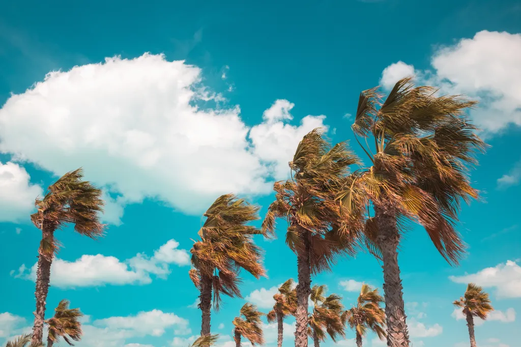 Primeira Segunda de Março: Looks Ideais para Enfrentar Calor, Abafamento e Chuvas de Verão em Todo o Brasil 1 Primeira Segunda de Março: Looks Ideais para Enfrentar Calor, Abafamento e Chuvas de Verão em Todo o Brasil