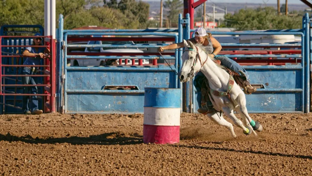 STF valida vaquejada no Brasil, mas exige regras rigorosas para bem-estar animal