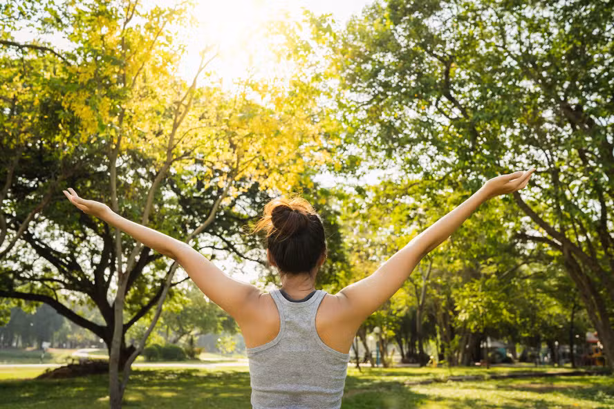 Living Reinventa Moradia: Bem-Estar e Qualidade de Vida no Centro da Experiência Imobiliária
