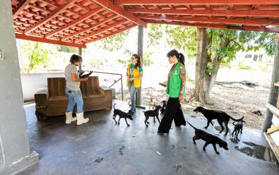 Bem-Estar Animal em Cuiabá: 781 Atendimentos em Dois Meses Revelam Demanda Crescente por Resgates e Denúncias