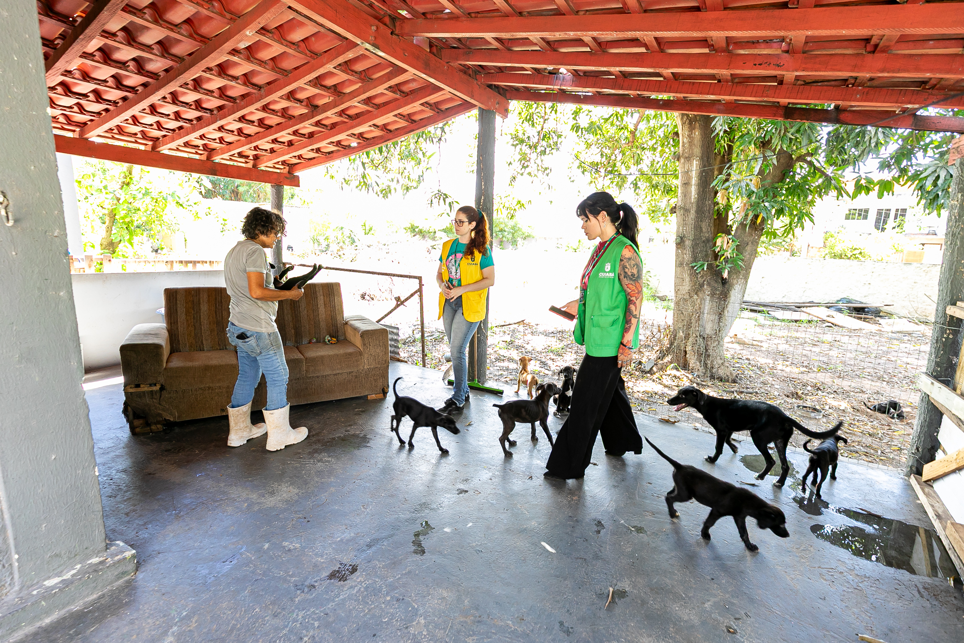 Bem-Estar Animal em Cuiabá Realiza Quase 800 Atendimentos em Dois Meses, com Foco em Resgates e Denúncias