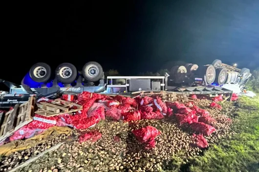 Menopausa: Dicas Essenciais para Cuidar da Sua Saúde e Manter o Bem-Estar Durante a Transição