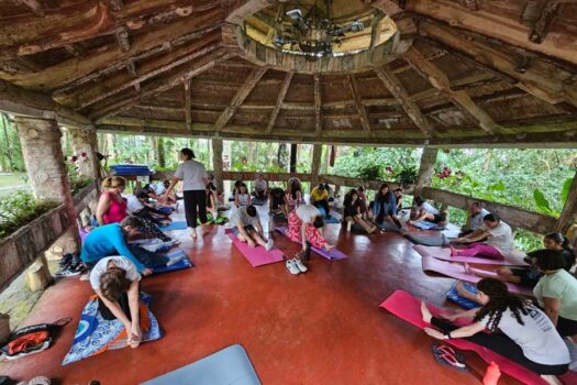 Yoga e Reiki Gratuitos: Ribeirão Pires Promove Manhã de Bem-Estar e Conexão com a Natureza no Parque Grecco