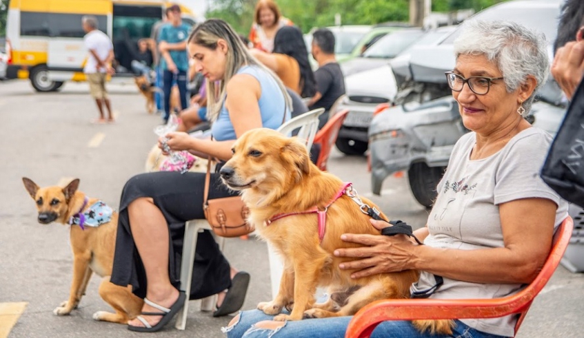 Mogi das Cruzes Aprova Criação do Conselho Municipal de Bem-Estar Animal (COMBEA) para Ampliar Proteção e Direitos dos Animais 1 Mogi das Cruzes Aprova Criação do Conselho Municipal de Bem-Estar Animal (COMBEA) para Ampliar Proteção e Direitos dos Animais