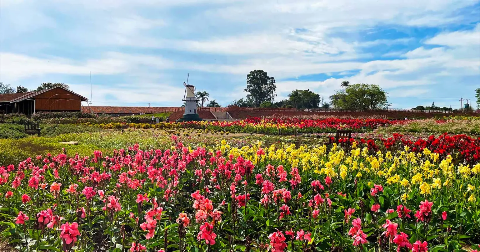 Oásis de Bem-Estar Kurotel, Famoso em Gramado, Abre as Portas em São Paulo com Programas de Longevidade e Tecnologia