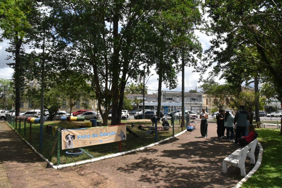 Praça da Bandeira se transforma em palco de celebração animal com evento gratuito neste domingo