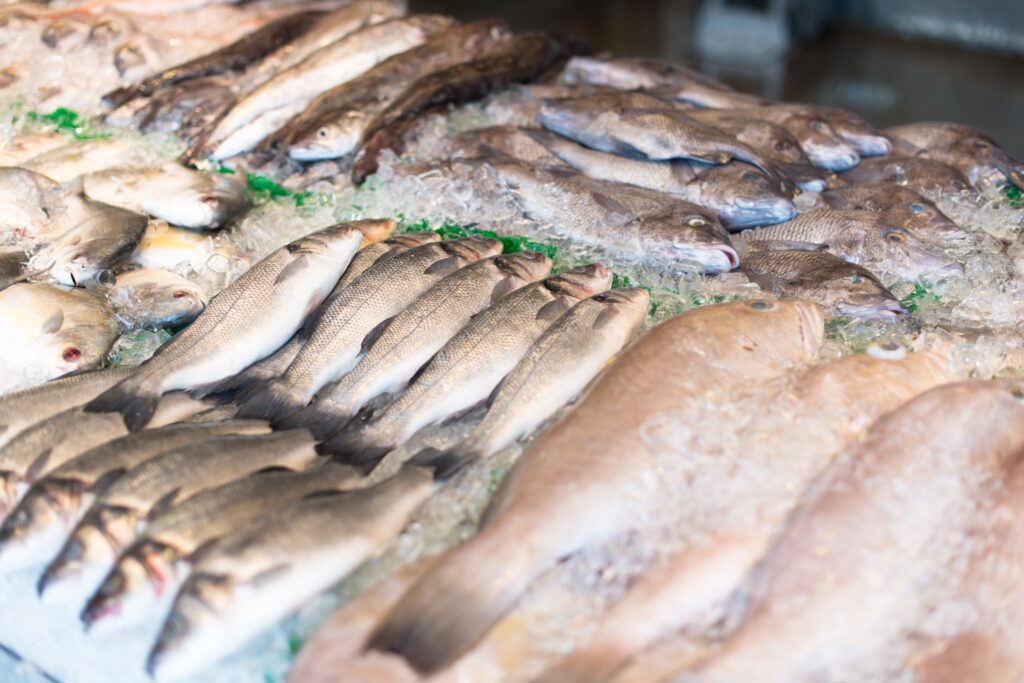 Páscoa: CRMV-RS alerta sobre segurança alimentar de pescados e bem-estar de coelhos