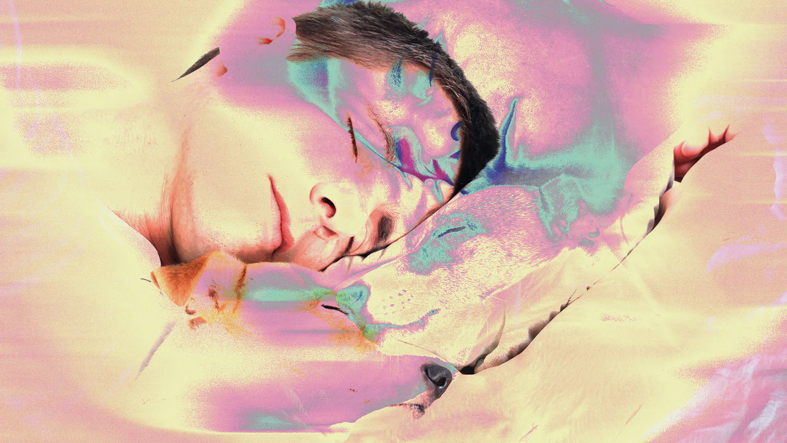 Dormir com seu pet na cama: Conforto emocional ou sono de qualidade? Entenda os prós e contras