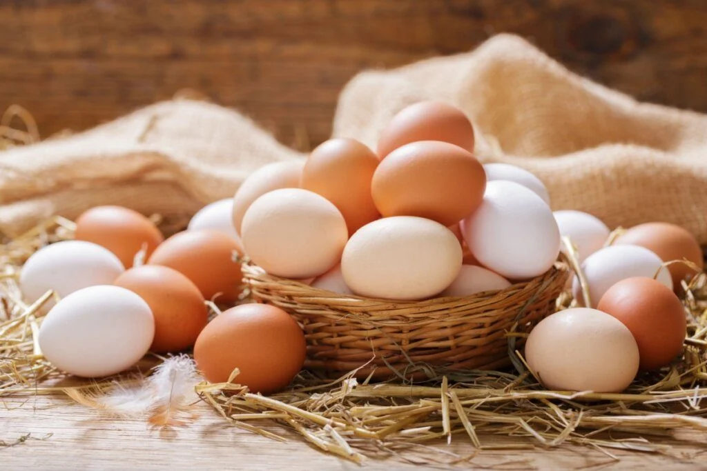 Ovo: O Superalimento que Fortalece sua Imunidade no Outono e Combate Gripes e Alergias